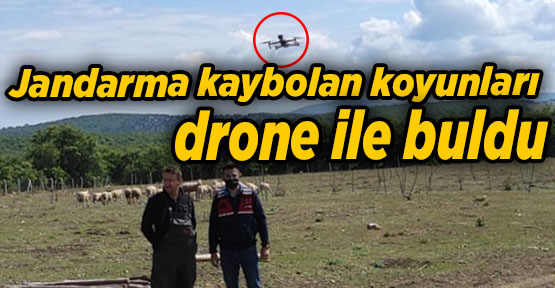 Jandarma kaybolan koyunları drone ile buldu