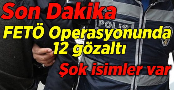 Son Dakika FETÖ Operasyonunda 12 gözaltı