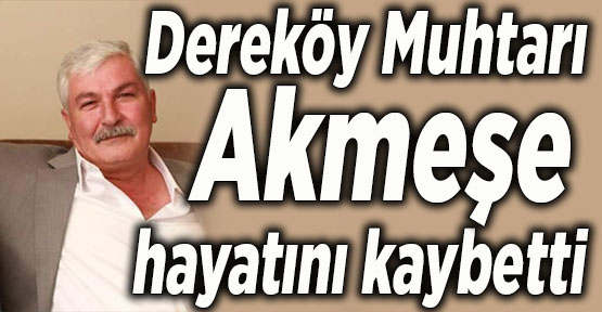 Dereköy Muhtarı Akmeşe hayatını kaybetti