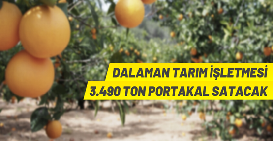 TİGEM'den portakal satış ihalesi