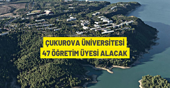 Çukurova Üniversitesi Öğretim Üyesi alım ilanı