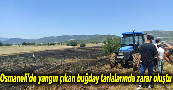 Osmaneli’de yangın çıkan buğday tarlalarında zarar oluştu